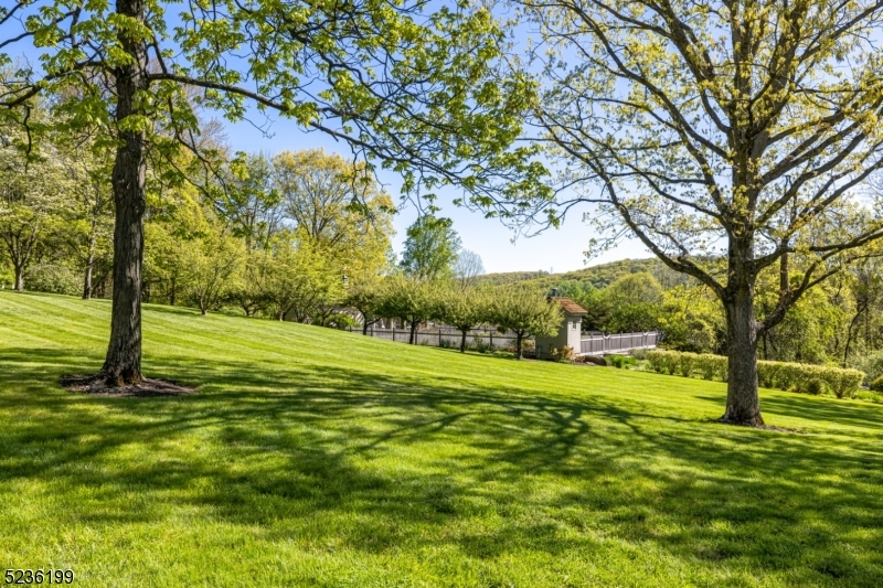 Mountainville - Residential