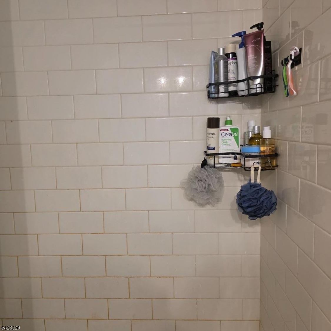 Mountain Club - Residential Lease