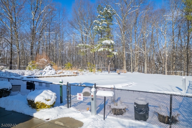 Bald Eagle Commons - Residential