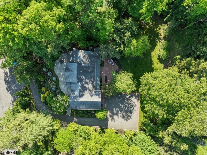 Old Short Hills - Residential