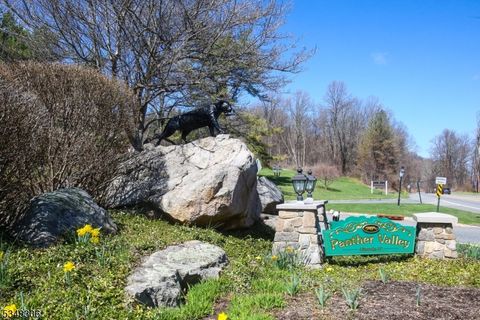 3 Barn Owl Dr, Allamuchy Twp., NJ 07840 - #: 3954538