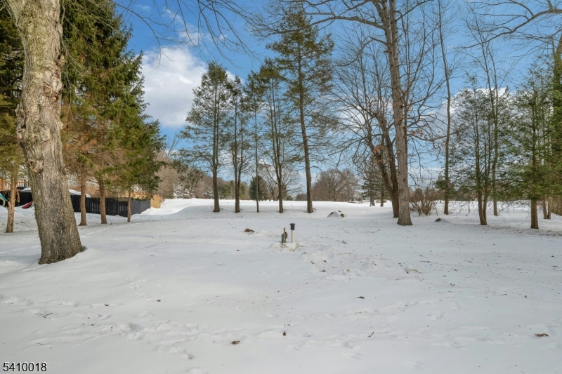 LAKE MOHAWK - Residential