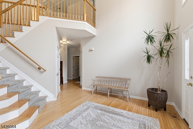 Greenwich Hills - Residential