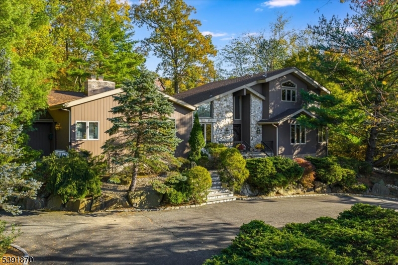 Chestnut Hill - Residential