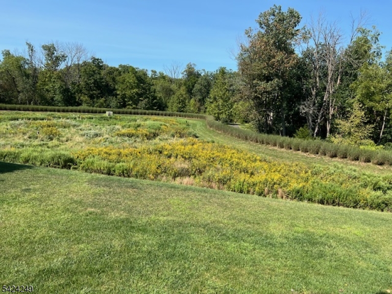 Tapestry at Montgomery - Residential