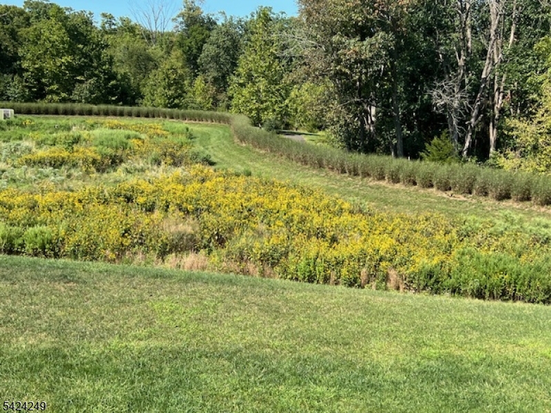 Tapestry at Montgomery - Residential