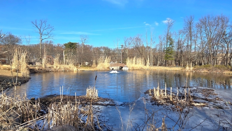 Stepping Ridge - Residential Lease