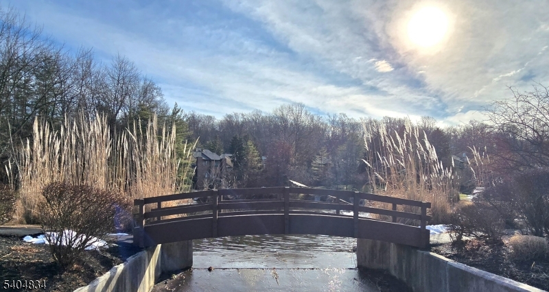 Stepping Ridge - Residential Lease