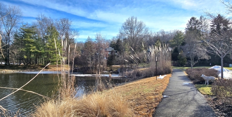 Stepping Ridge - Residential Lease