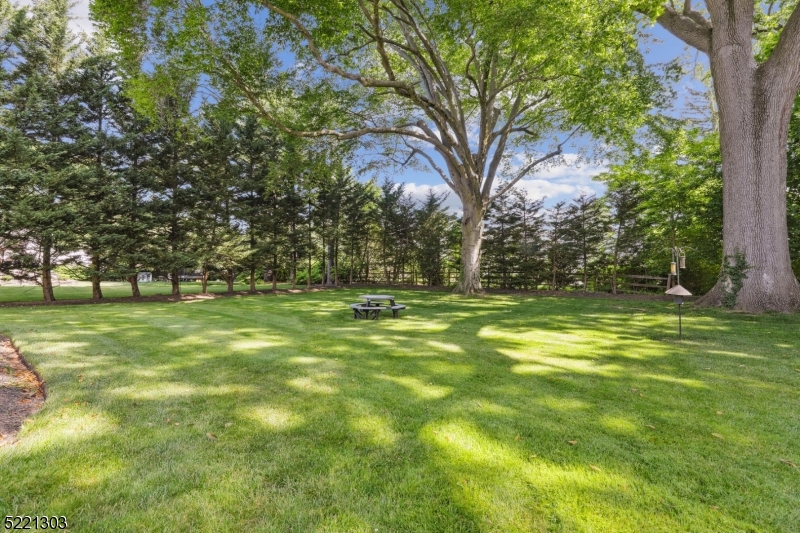 The Hill - Residential