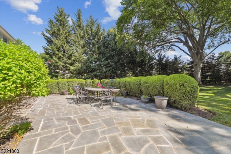 The Hill - Residential