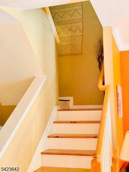 The Oak - Residential