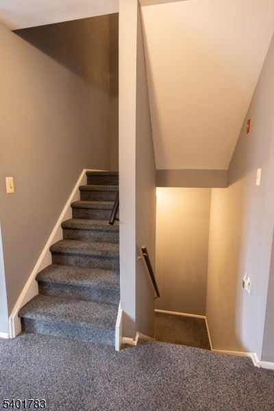 Spruce Hill - Residential