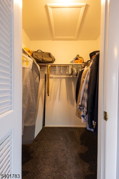 Spruce Hill - Residential