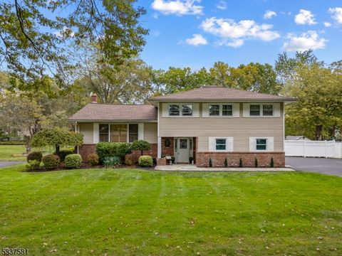 20 Gathering Rd Montville Twp. NJ 07058