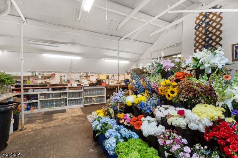 WILLOW GROVE - Commercial Sale