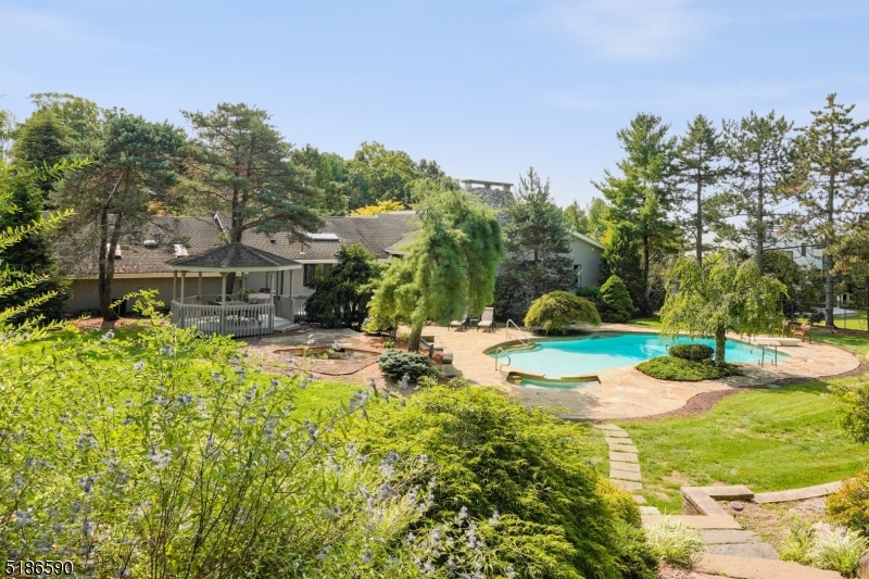 Chestnut Hill - Residential