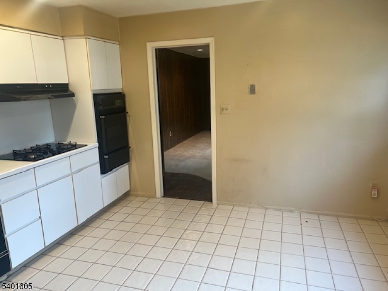 Lake Hiawatha - Residential