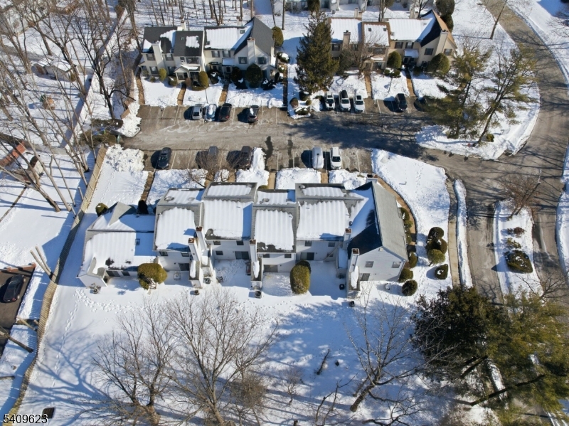 Maples - Residential