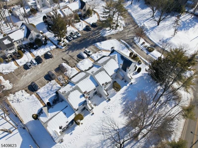 Maples - Residential