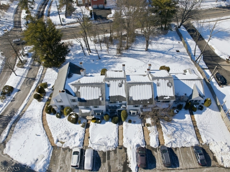 Maples - Residential