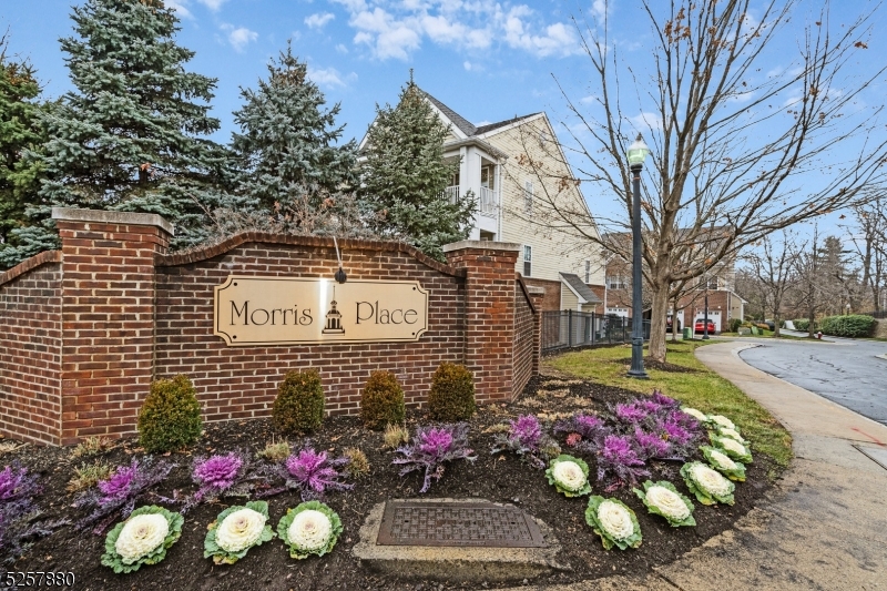 Morris Place - Residential