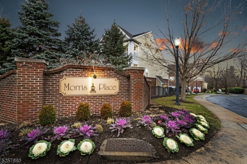 Morris Place - Residential