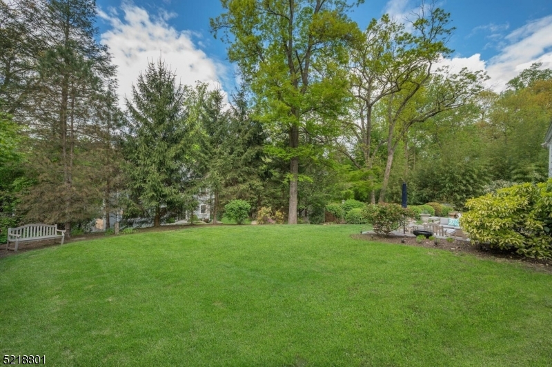 Woodland Park - Residential