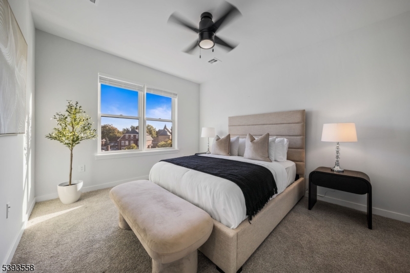 Farrand Street - Residential