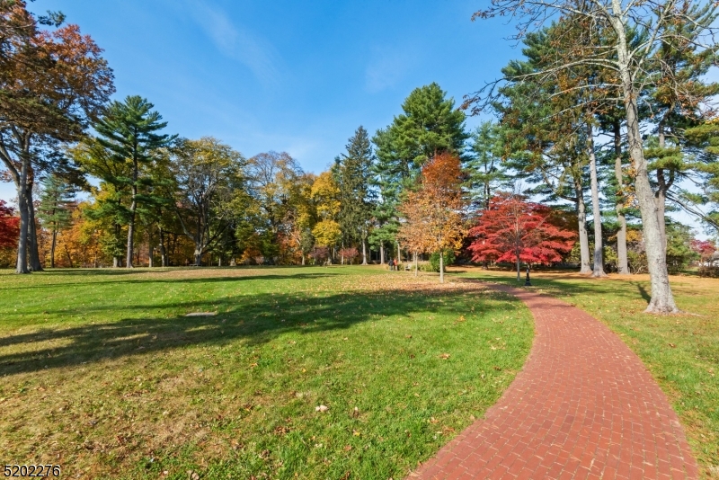 St Cloud - Residential Lease