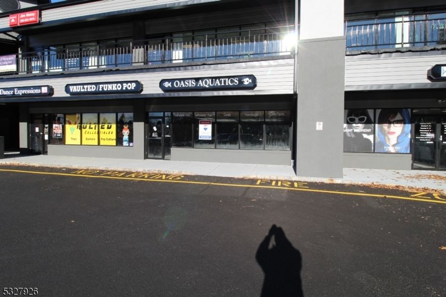Renovated Shopping Center with a High Visibility Space, last used as an Aquarium Supply Store with 120 parking spaces in the high traffic local shopping center, The Crossroads Center Mall on Rt 517 just outside of Hackettstown, traffic volume of over 13,000 cars daily! Unit includes 1,800 sq ft would be perfect for a Doctor's Office, Retail Space or Office or other use, Center hosts Hair Saloon, Convenience Store, Chinese and Asia Restaurants, Pizza Parlor, Insurance Office, Day Care Center, Eye Doctor, Dentist, Dance Studio, Liquor Store, Nail Salon. Motivated Landlord to help get your business off to a good start! Available NOW!!