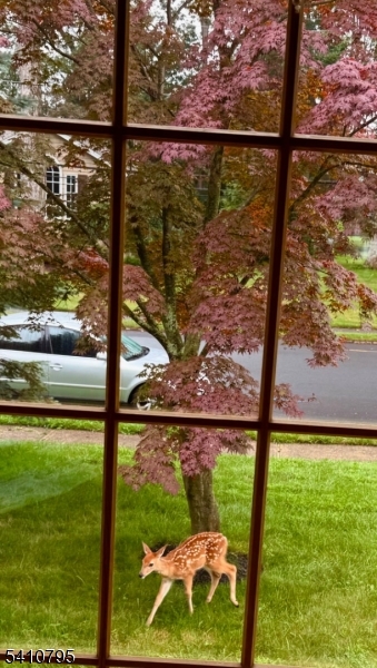 Succasunna - Residential