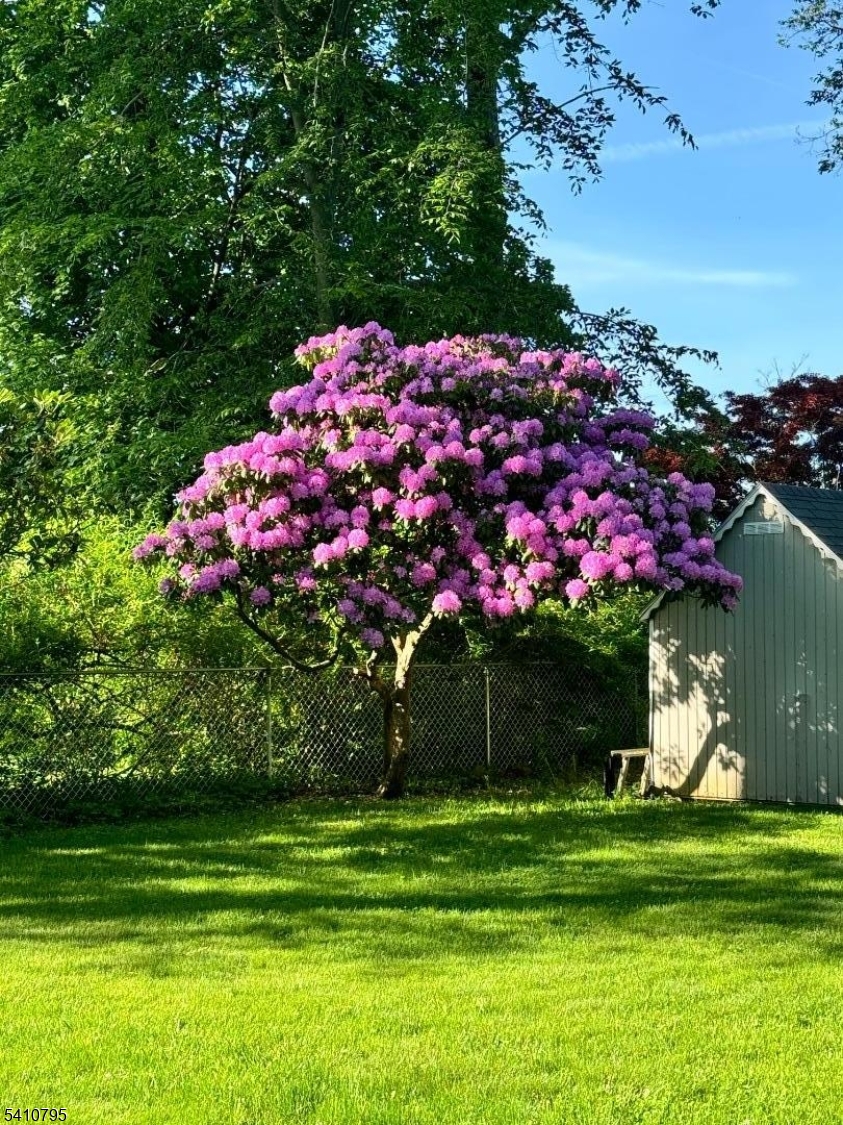 Succasunna - Residential