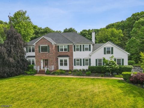 4 Stover Way, Readington Twp., NJ 08822 - #: 3904447