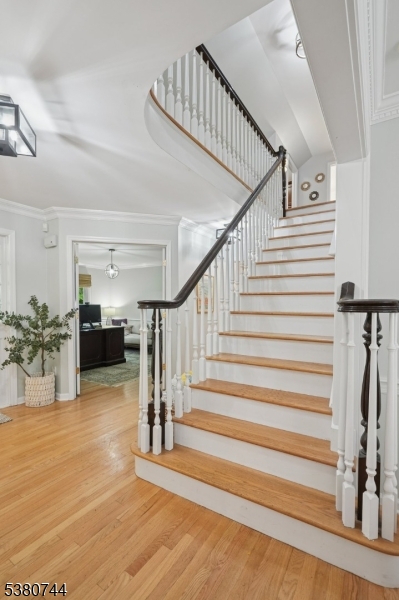 Oak Knoll - Residential