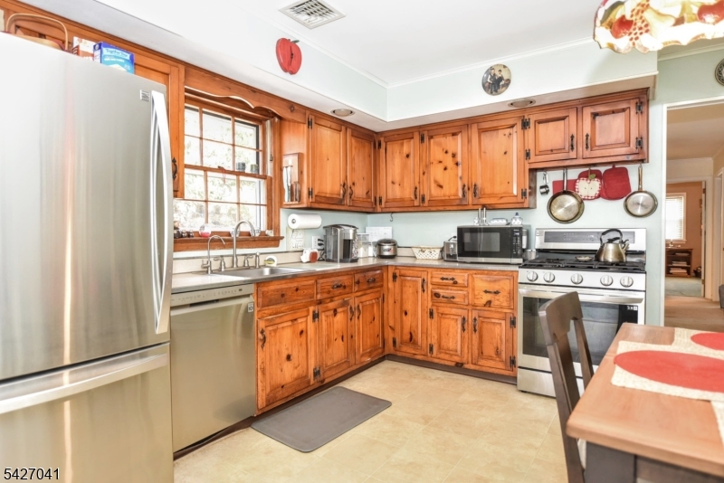 Morse Lakes - Residential