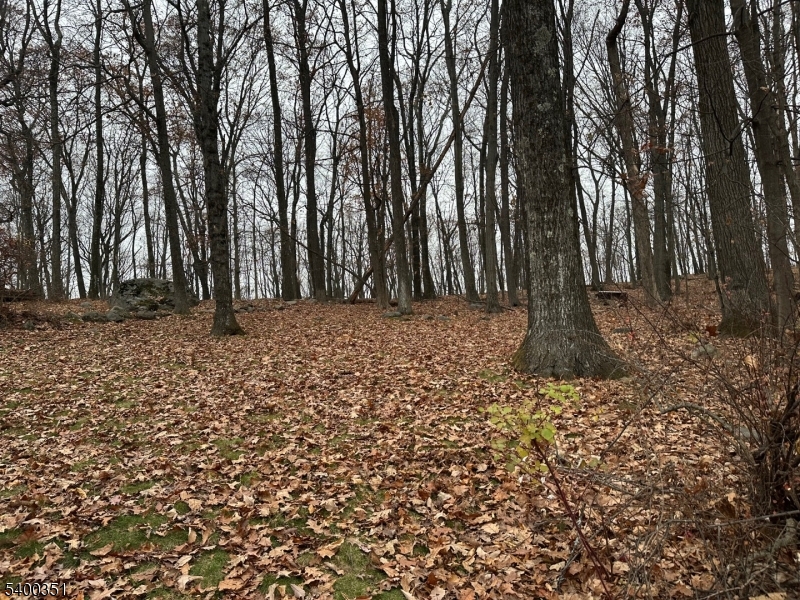 White Meadow Lake - Residential