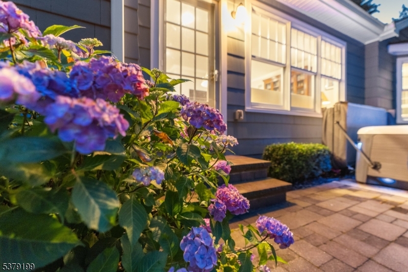 Upper Montclair - Residential