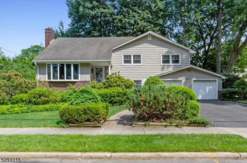 18 Pyle St, Oradell Boro, NJ 07649 - #: 3906760