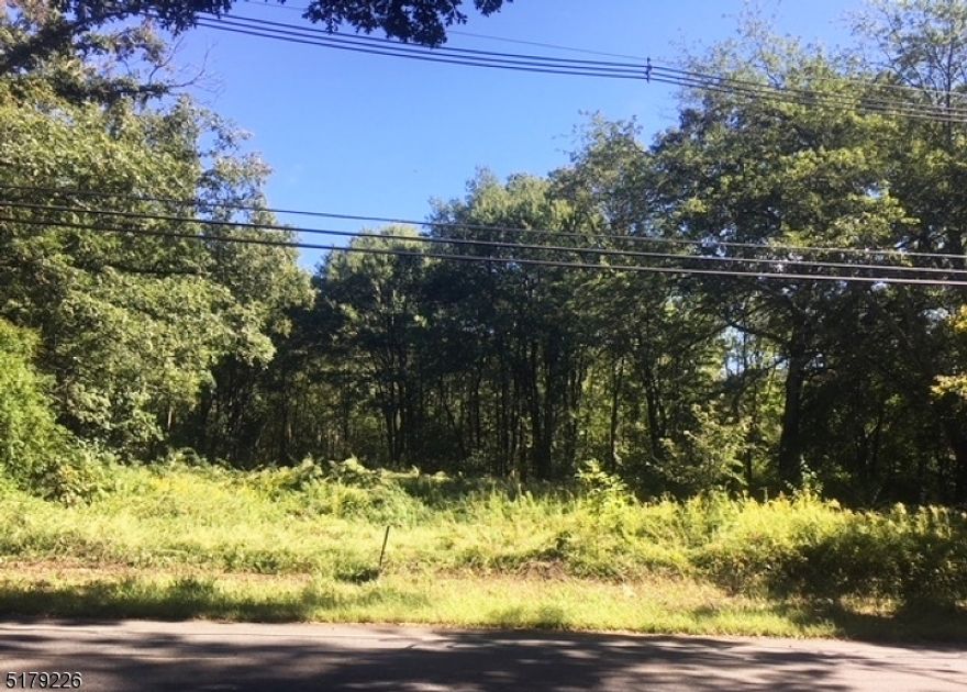 EXCLUSIVE OFFER TO QUALIFIED BUILDERS!!  You can build your dream home on this recently approved building lot in the beautiful residential Oak Ridge section of Jefferson Twp.  The property is complete with site development plan taken from survey dated 6-14-23 and Land Use Approval from the DEP dated 6-5-2025, due to some wetlands in the rear and side of the property. Enjoy 1.67 acres of level property with some wooded area for privacy.  Upscale homes are nearby. Septic and well are required and responsibility of the buyer. Site plan shows existing well to remain. Utilities for Natural Gas and Electric are on Schoolhouse Rd.  Attached in GSMLS documents are the Site Development Plan and the Land Use Permit Approval.