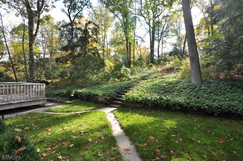 Springbrook Neighborhood - Residential Lease