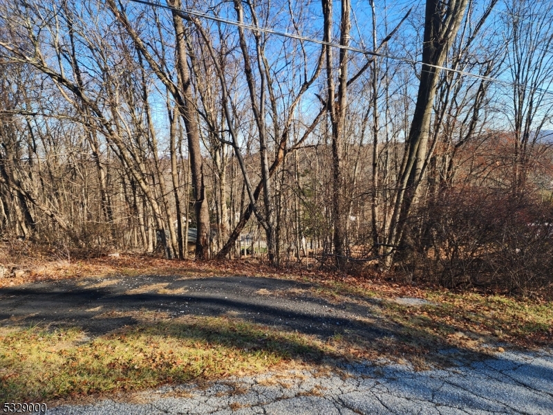 Raw land - vacant lot available for development - views from rear of lot - on the outskirts of Lake Neepaulin adjacent to dead end street - nice location! There are no fees in Lake Neepaulin - the lake is owned by the Township of Wantage.