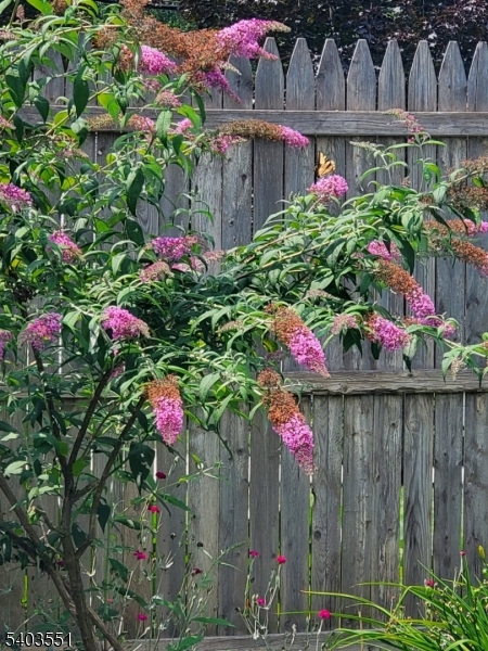 Pompton Plains - Residential