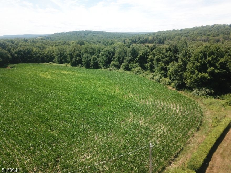 5 ACRES of FARM ASSESSED property located on a COUNTY ROAD! TAXES only $75 per YEAR! Currently being farmed as a corn field. Partially wooded. FLAT PROPERTY!