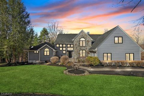25 Hook Mountain Dr, Clinton Twp., NJ 08801 - MLS#: 3952625