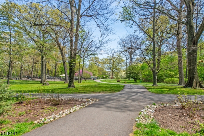 Upper Montclair - Residential