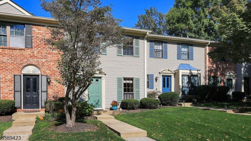 Society Hill - Residential