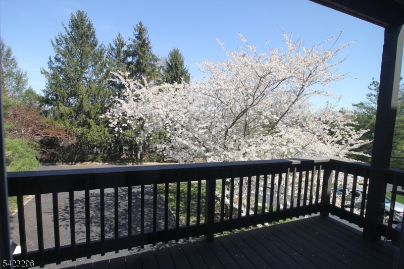 Montgomery Woods - Residential