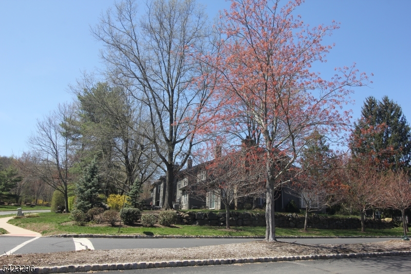 Montgomery Woods - Residential