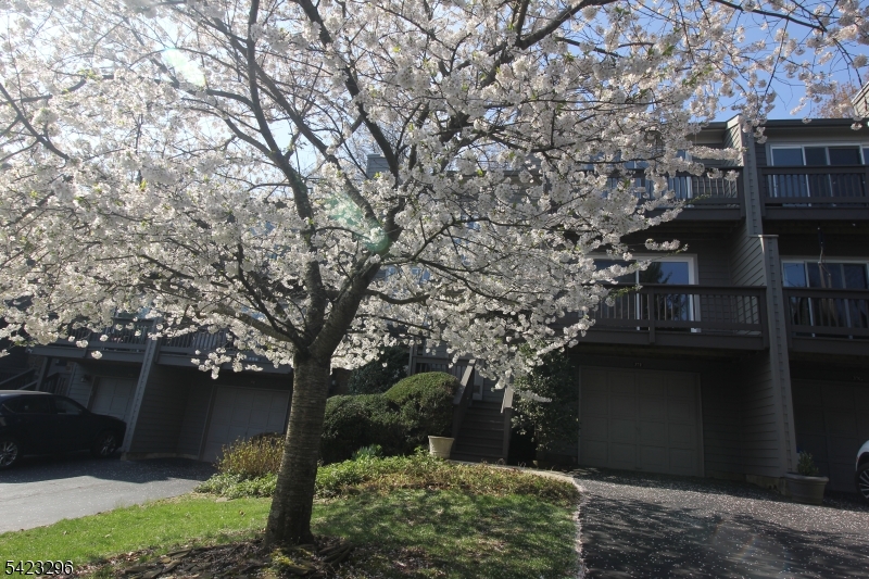 Montgomery Woods - Residential